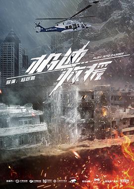 火线追凶2之鹈鹕行动 封面图